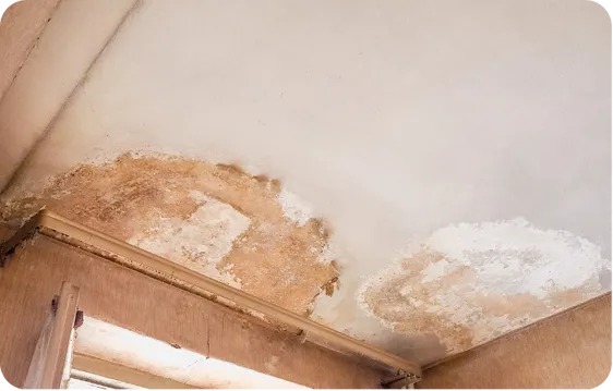 pre-purchase inspections Page Building Pest Inspection Melbourne (1)_converted