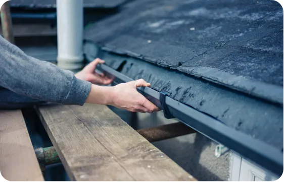 pre-purchase inspections Page Building Pest Inspection Melbourne (2)_converted